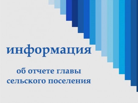 отчет Главы Альшанского МО за 1 полугодие 2026 г..